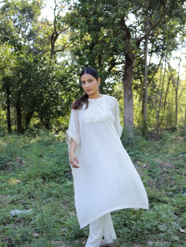 Ismat Mukaish Anti-fit Kurta